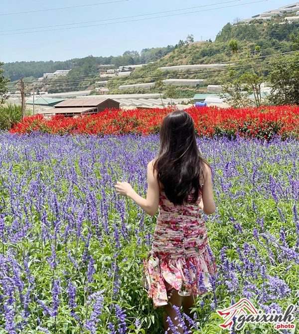 Ảnh Gái Hot Girl gai da nang